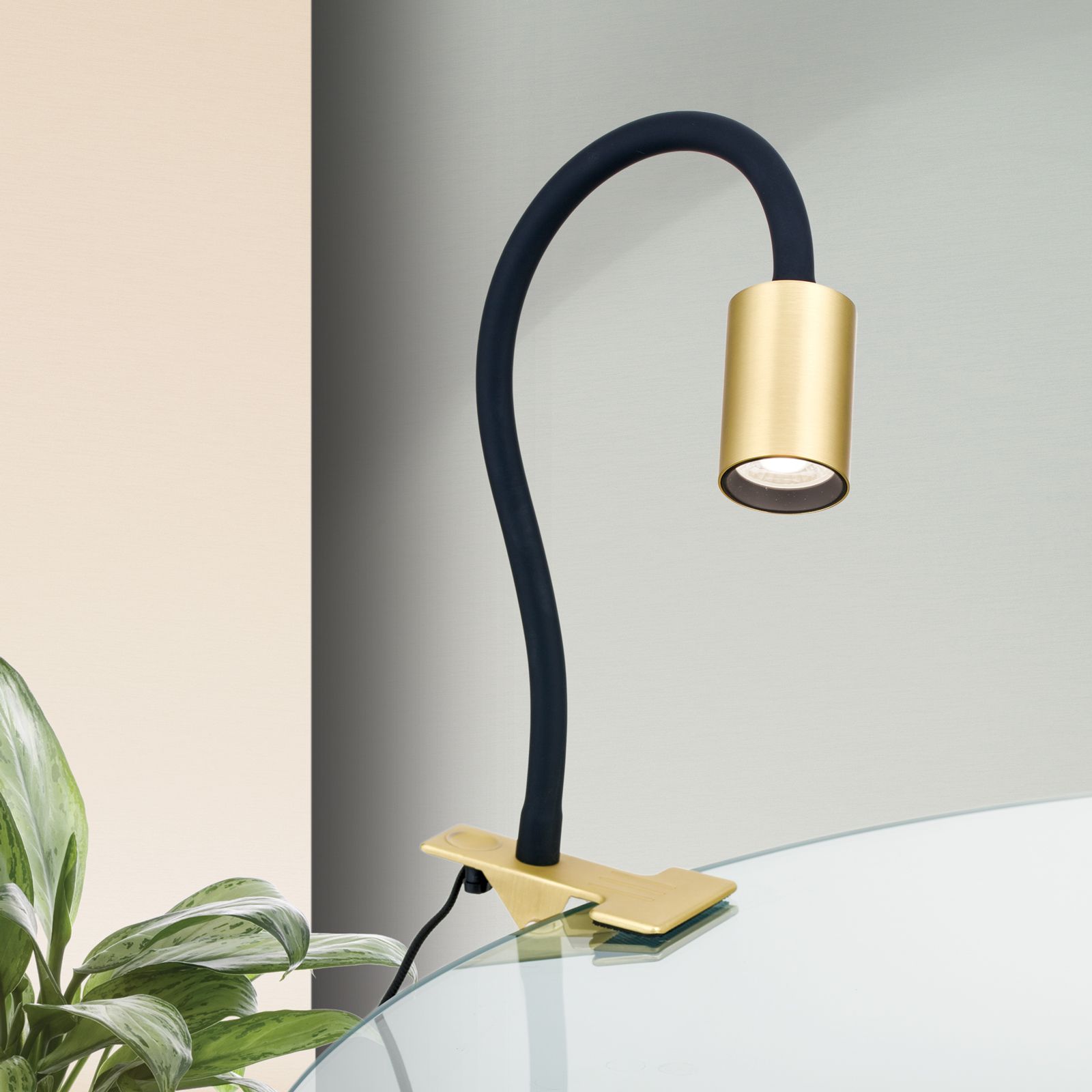 LED clamp-on luminaire KURT, matt brass